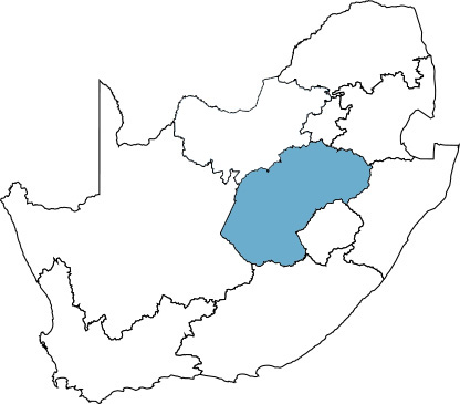 veroniva-projects-free-state