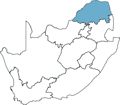 veroniva-projects-limpopo
